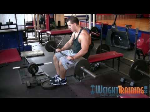 Seated Barbell Calf Raise - How to do Barbell Seated Calf Raises