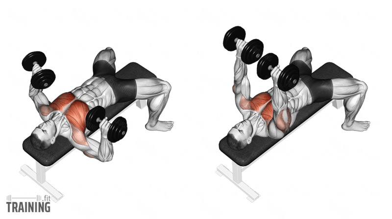 Dumbbell Bench Press - Instructions, Information & Alternatives