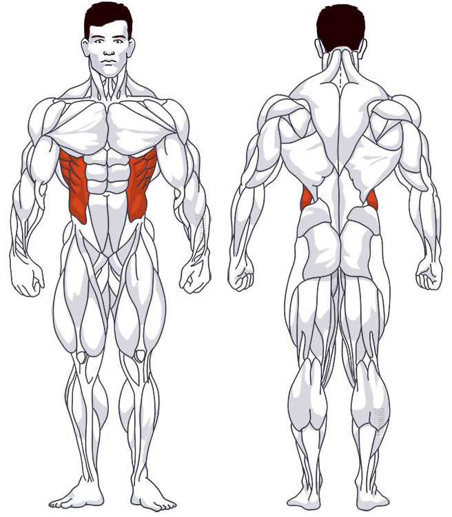 Side Bends - Instructions, Information & Alternatives »