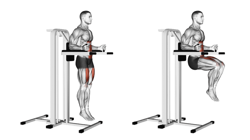 Knee best sale lift exercise