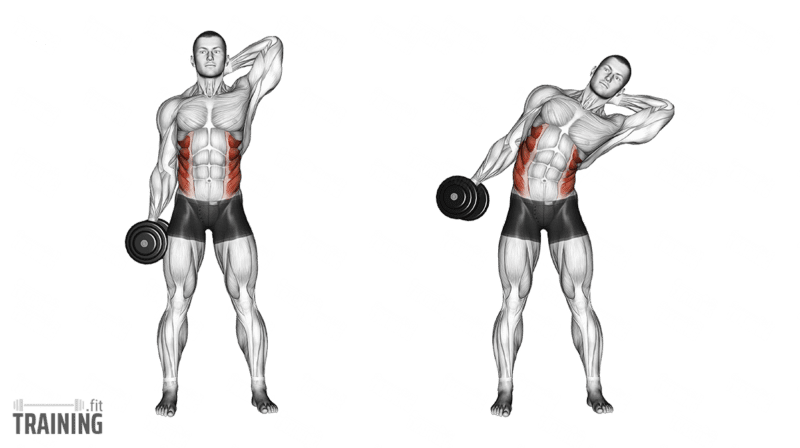 Movement sequence: Seitliches Oberkörperbeugen mit Kurzhantel