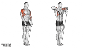 Aufrechtes Rudern - Anleitung, Infos & Alternativen » Training.fit