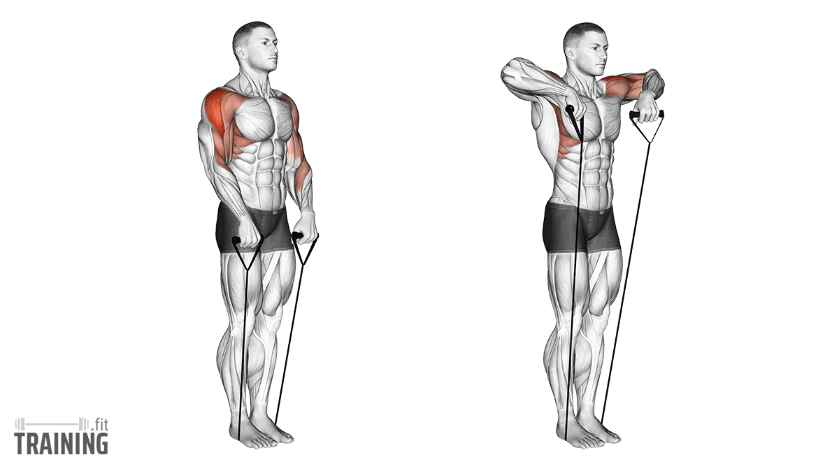 Resistance Band Upright-Row - Instructions, Information & Alternatives »