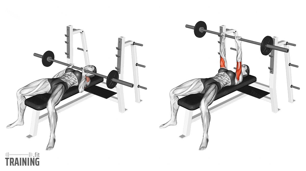 Lever Lying Chest Press - Video Guide