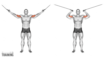 Cable Curls - Instructions, Information & Alternatives » Training.fit