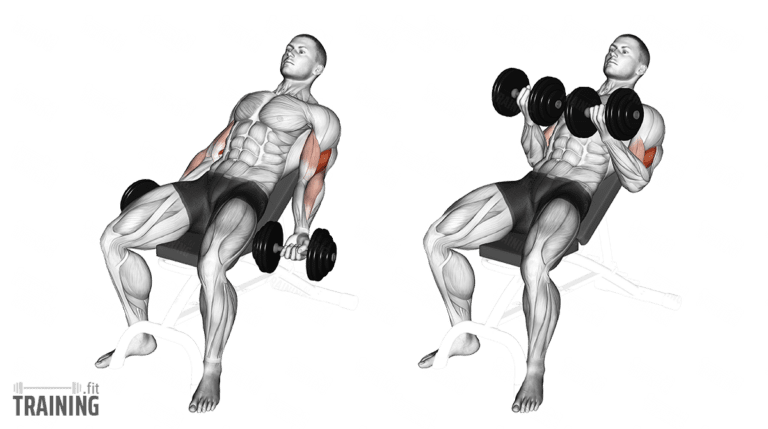 Incline Dumbbell Biceps Curls - Instructions, Information ...