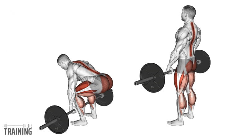 Movement sequence: Kreuzheben