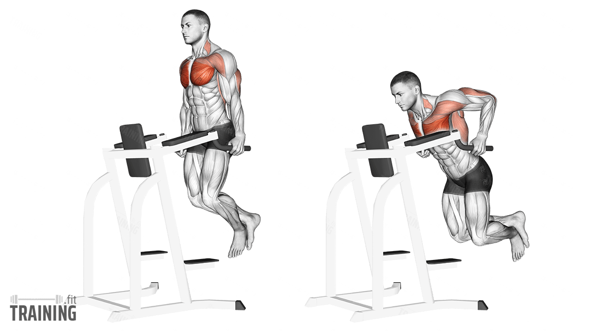 Unlock Upper Body Power By Mastering Tricep Dips with DMoose