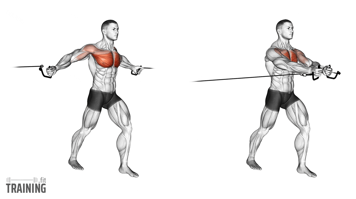 Cable Crossover: Every Cable Chest Exercise