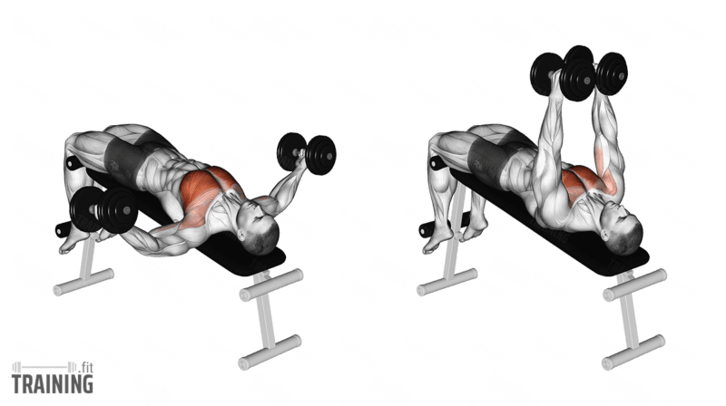 The Decline Bench Press for Your Chest