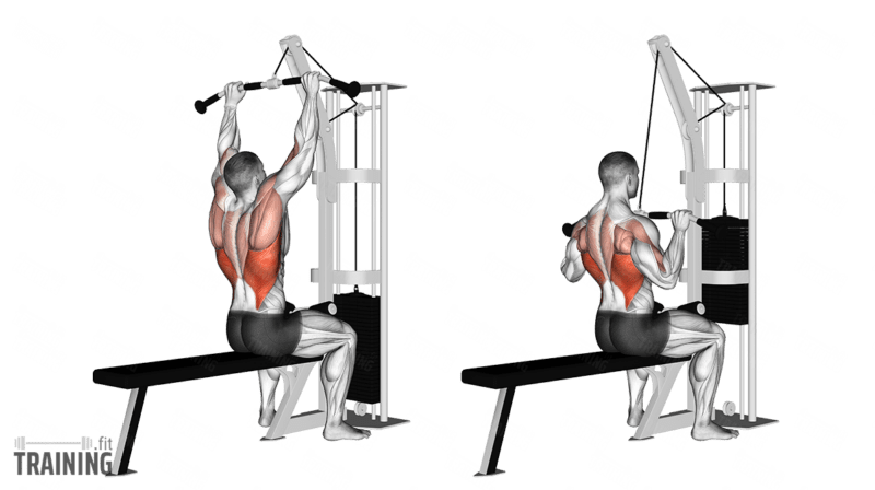 Cable Lat Pulldown close grip Instructions Information Alternatives Training.fit