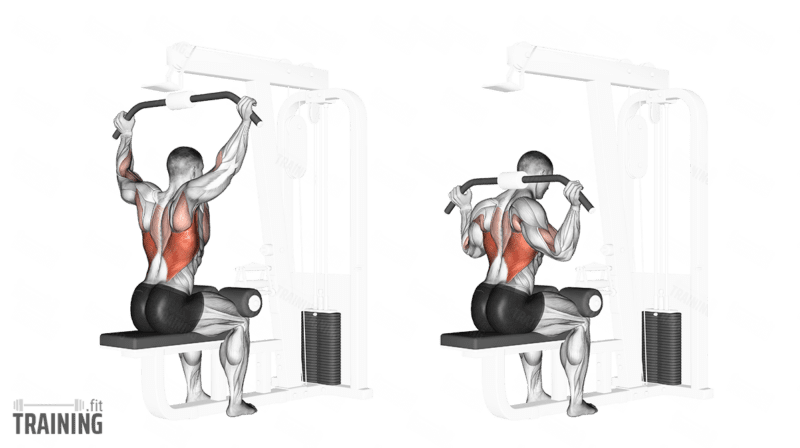 Neck Lat Pulldown Instructions Information Alternatives Training.fit