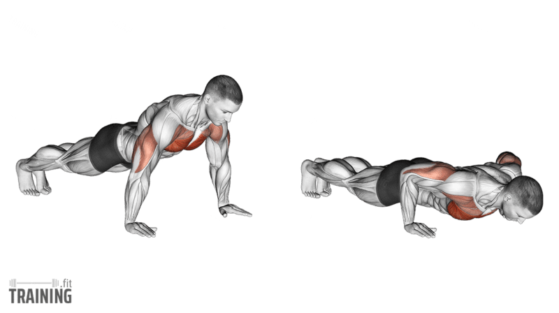 How To Do Push Ups And What Muscles Do They Work?