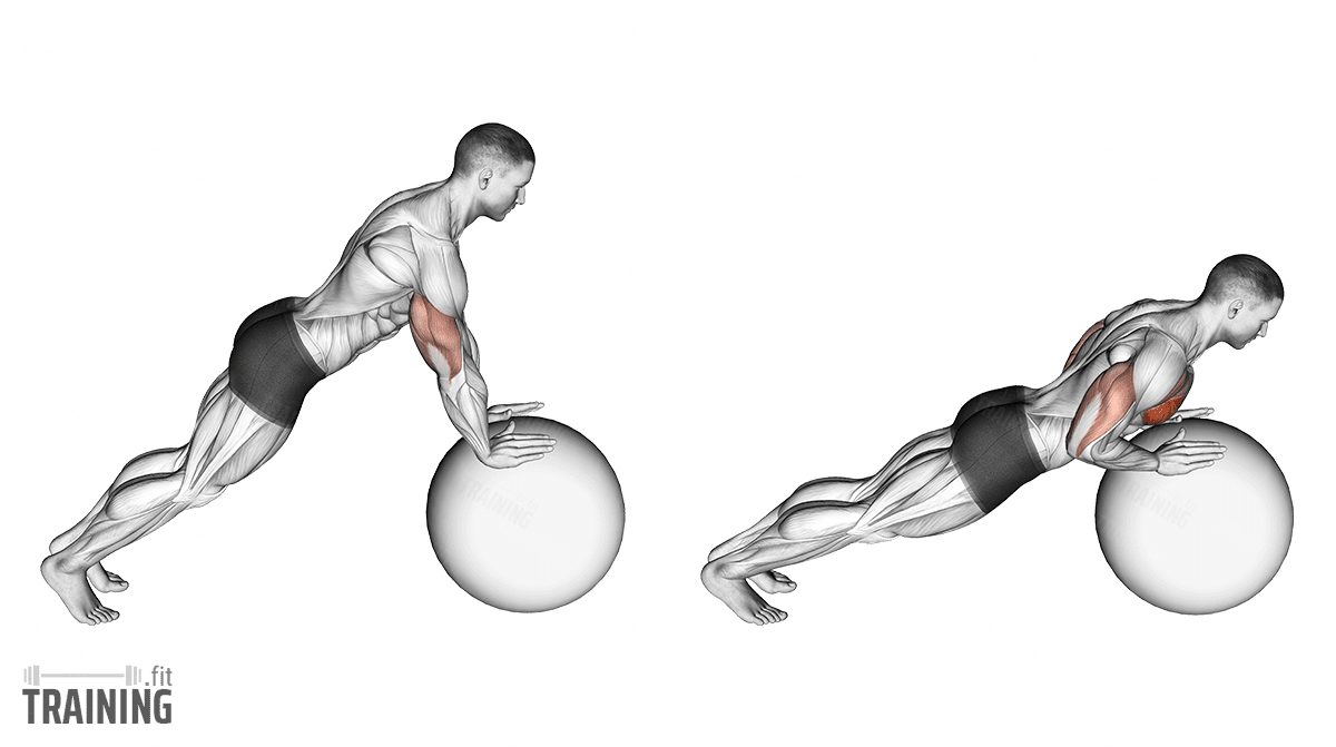 Movement sequence: Liegestütze mit Gymnastikball