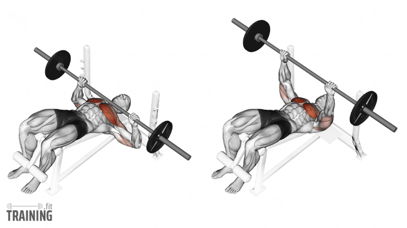 Dumbbell decline bench online press