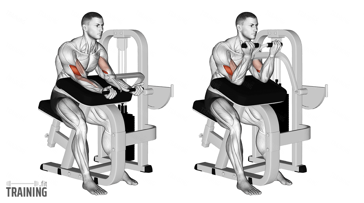 Machine discount preacher curl