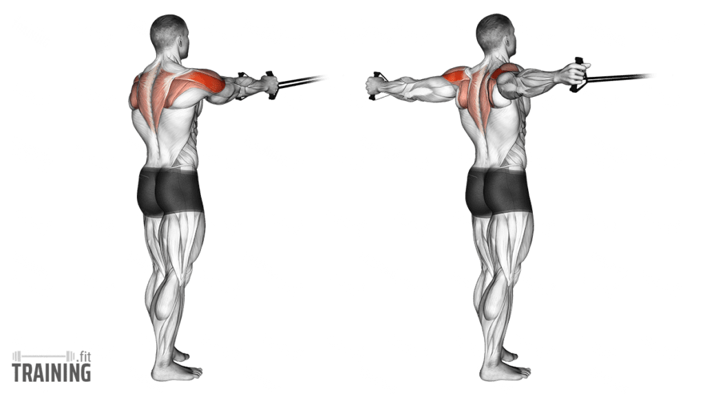 Shoulder Pain During Reverse Flys