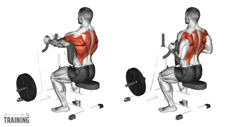 Rudern am Gerät - Anleitung, Infos & Alternativen » Training.fit