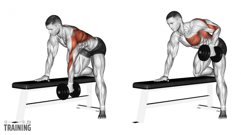 Dumbbell Row Machine