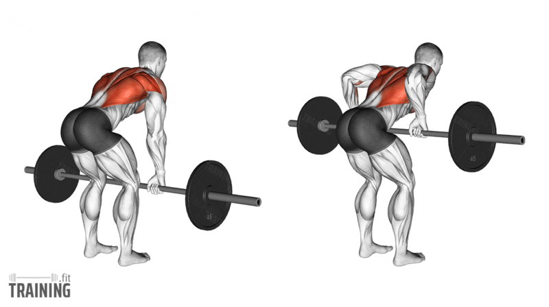 Barbell workout for discount lats