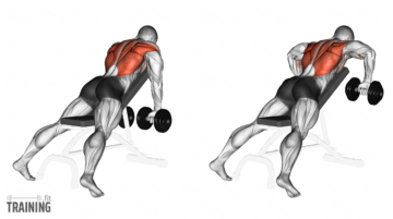 Rudern am Gerät - Anleitung, Infos & Alternativen » Training.fit