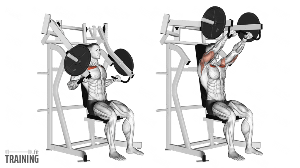 Incline Chest Press Instructions Information Alternatives