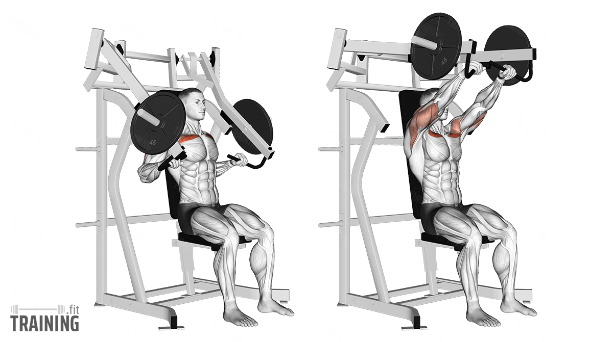Seated bench press: How to do this exercise?
