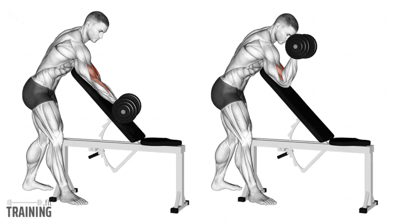 Incline Bench Preacher Curls Instructions Information