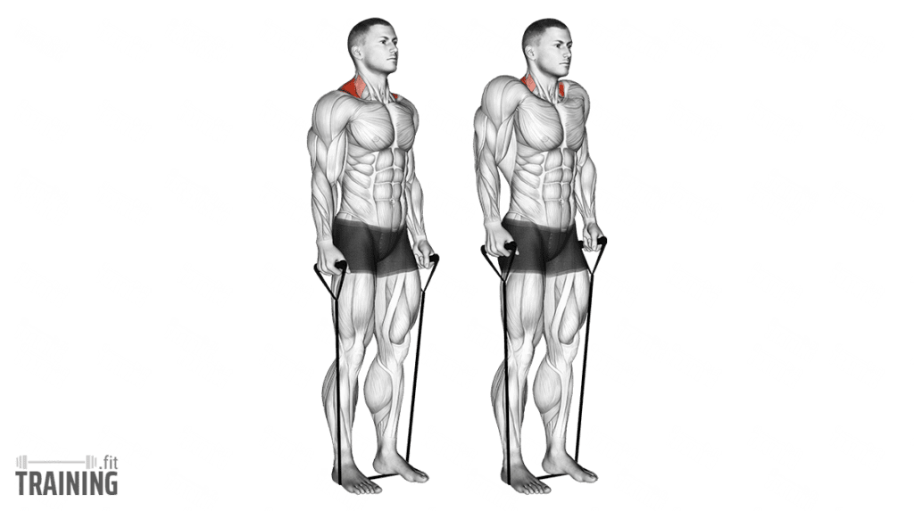 Resistance Band Shrugs Instructions, Information & Alternatives » Training.fit