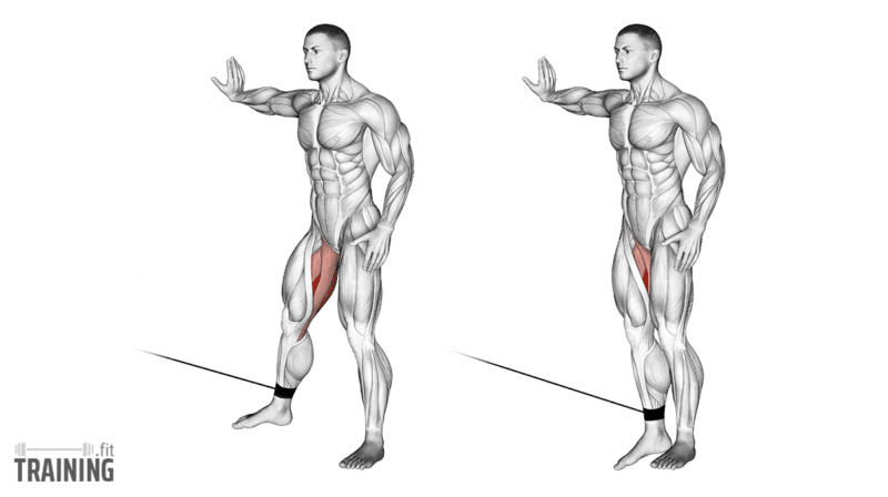 Straight-leg cable pull-through exercise instructions and video