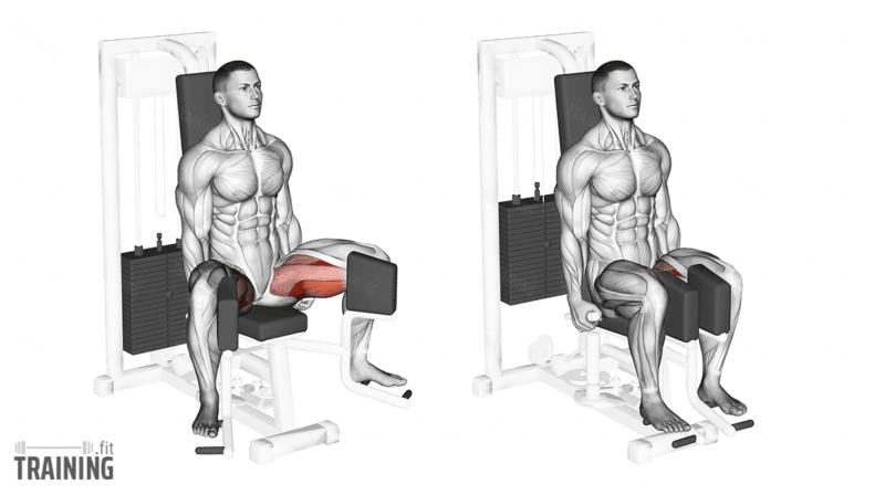 Seated adductor machine sale