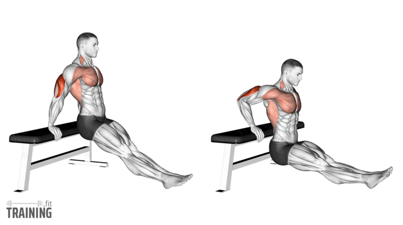 Weighted bench clearance dip