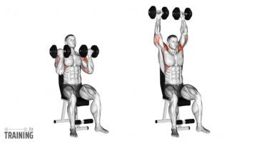 kurzhantel-schulterdr-cken-anleitung-infos-alternativen-training-fit
