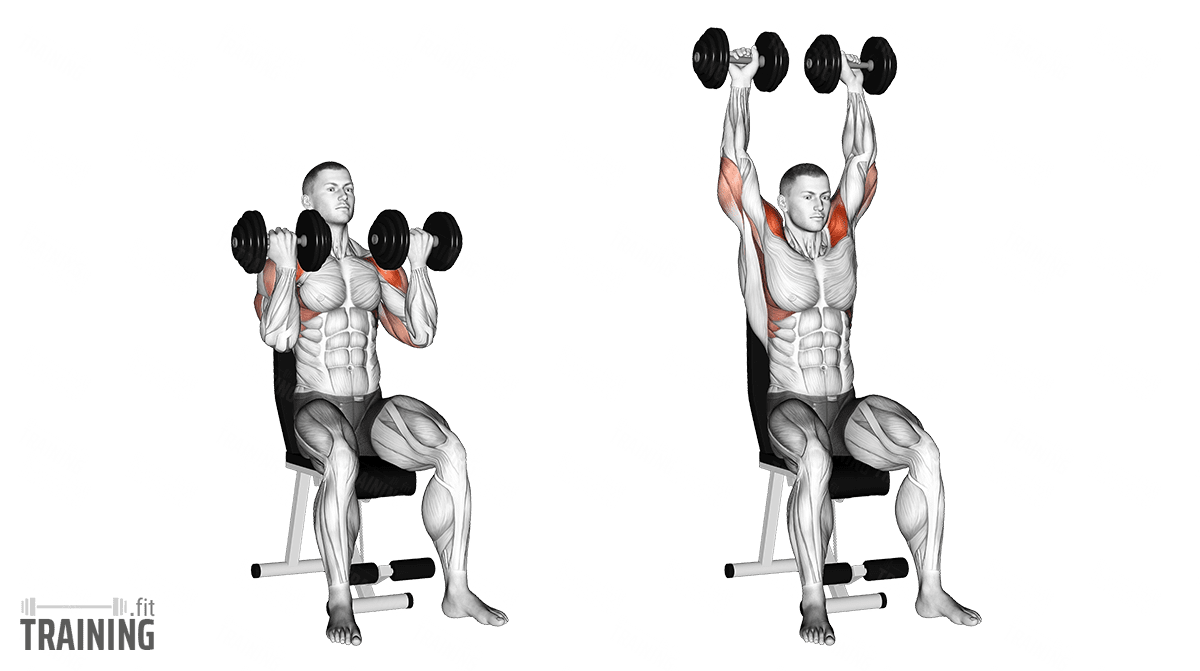 Movement sequence: Arnold Press