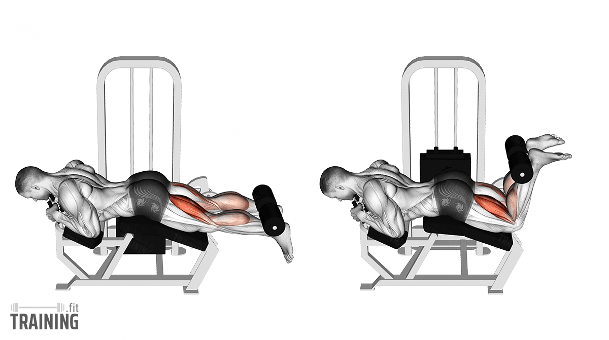 How to do a Lying Leg Curl 