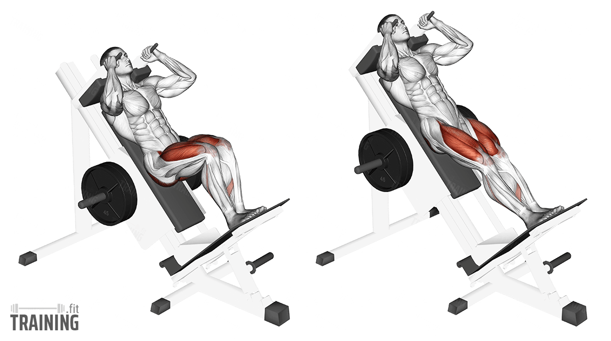 Movement sequence: Stehende Hackenschmidt Kniebeugen am Gerät