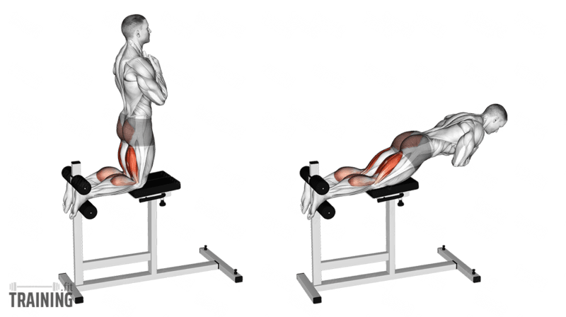 Hanging Leg Curl Instructions Information Alternatives