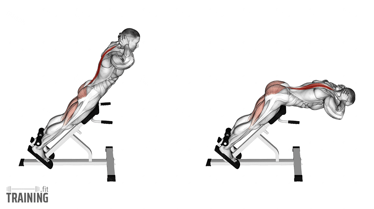 https://training.fit/wp-content/uploads/2020/03/hyperextension.png