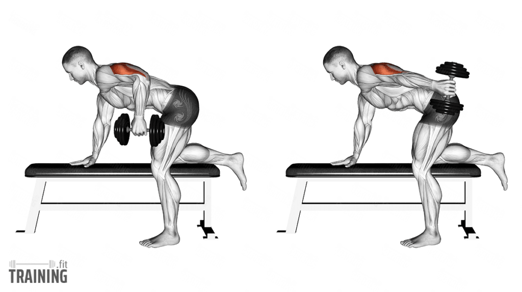 Kickbacks Instructions, Information & Alternatives » Training.fit