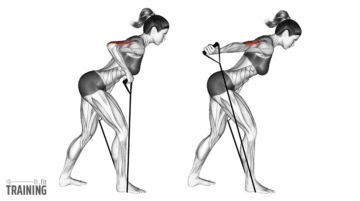 Triceps Cable Kickbacks - Instructions, Information & Alternatives ...