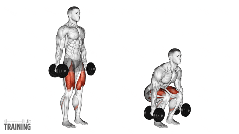 Dumbbell Squats Instructions Information Alternatives Training.fit