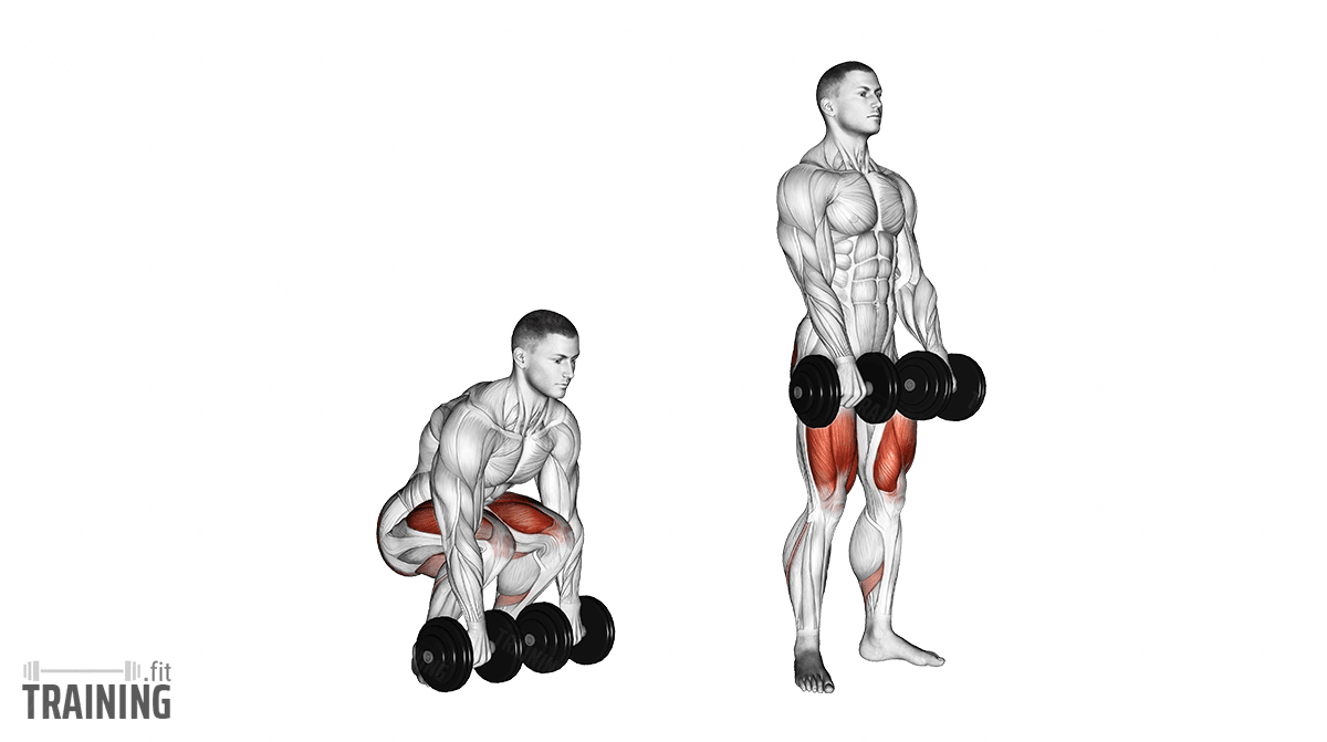 Band Seated Row  Illustrated Exercise Guide