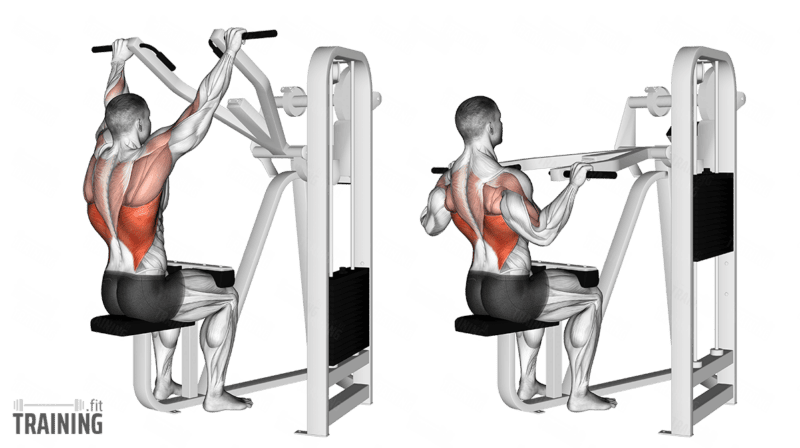 Latzug Am Ger t Anleitung Infos Alternativen Training fit Latzug Am Ger t Anleitung Infos Alternativen Training fit