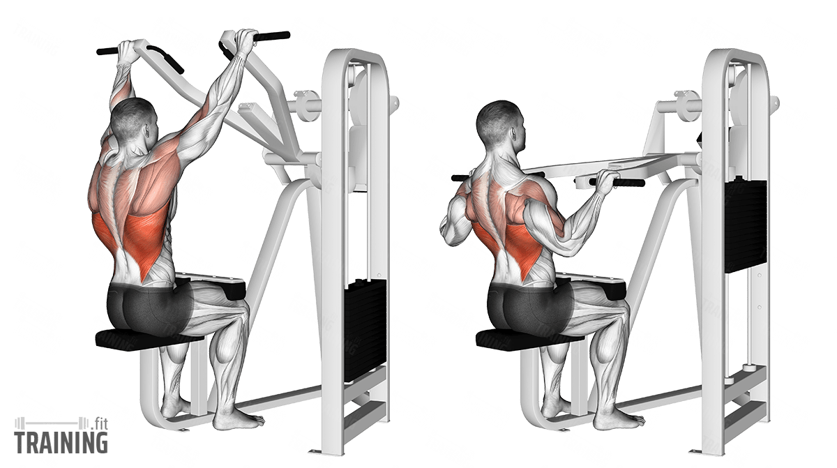 Lat Pulldown on the Machine - Instructions, Information