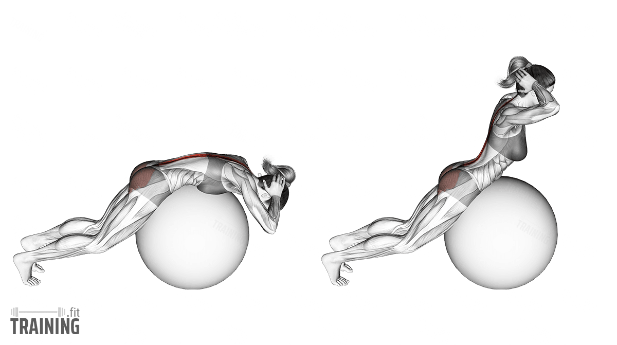 Weighted back extension on stability ball exercise instructions