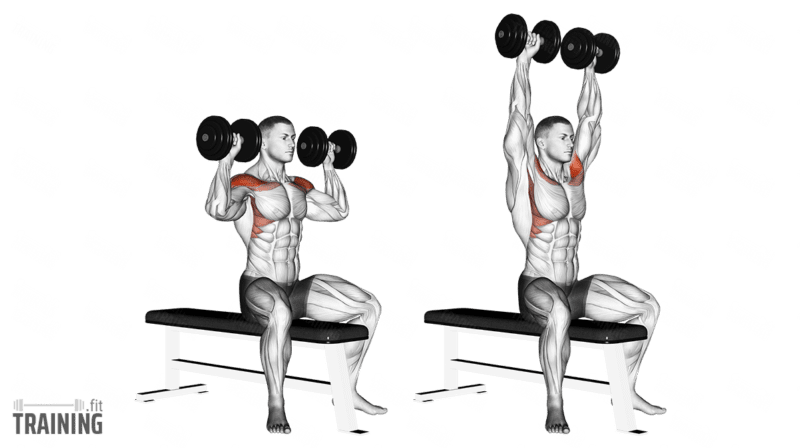 Incline dumbbell front raise exercise instructions and video