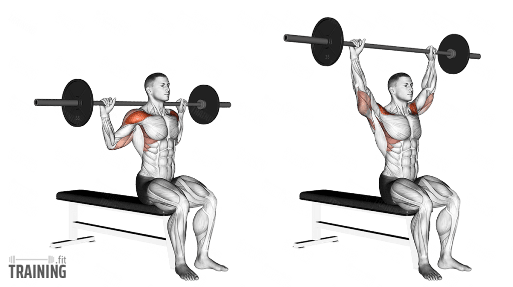 Shoulder Training » Training.fit