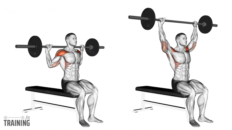 Overhead press deals