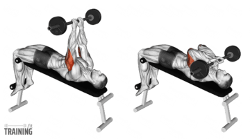 Barbell Skull Crusher - Instructions, Information & Alternatives » Training.fit