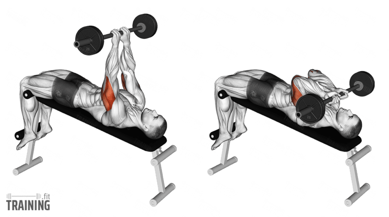 decline press muscles worked